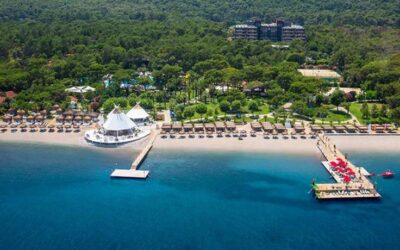 PALOMA FORESTA *****