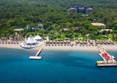 PALOMA FORESTA *****