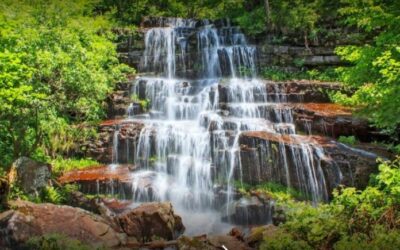 STARA PLANINA I PIROT