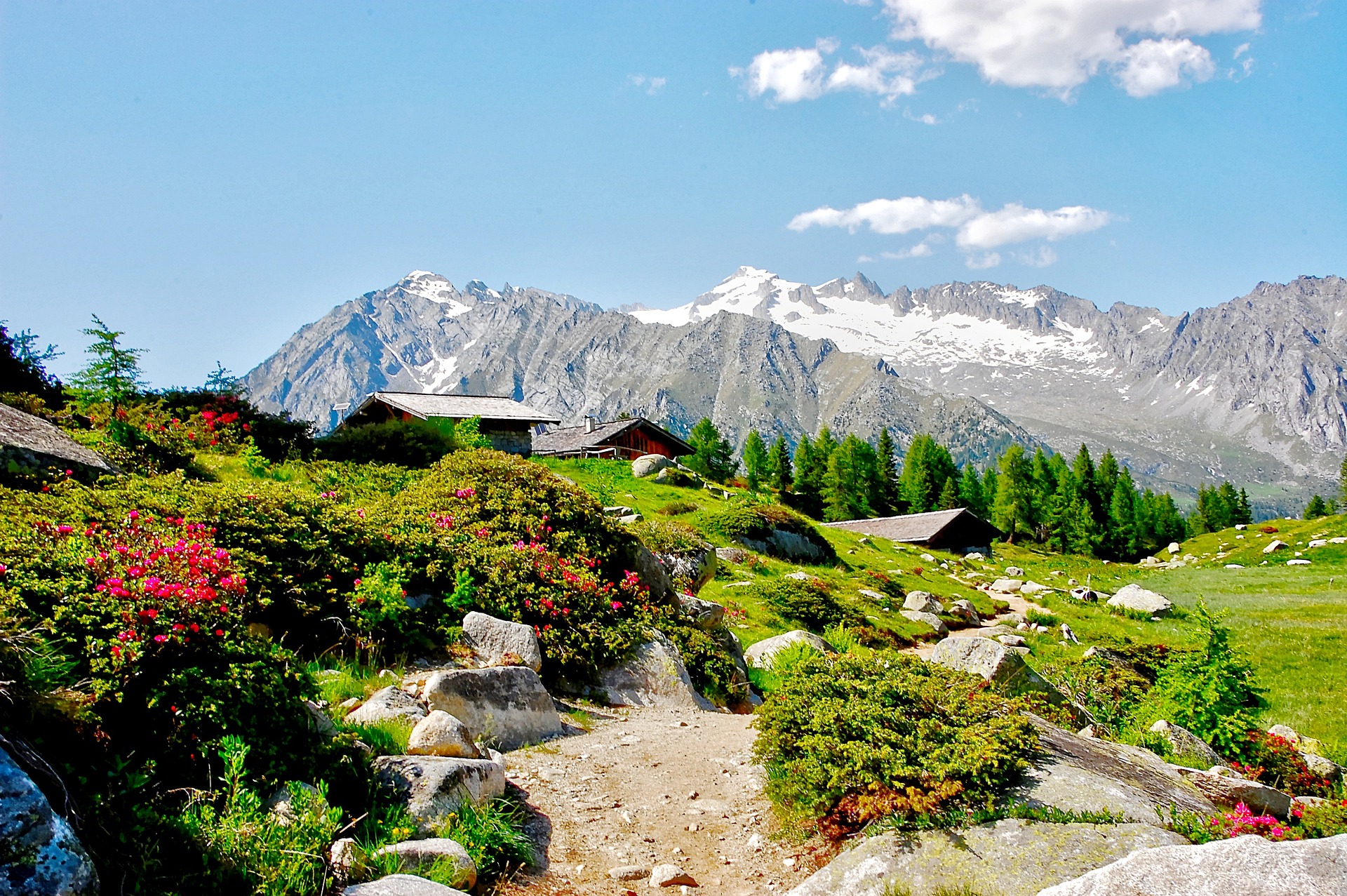 Dolomiti