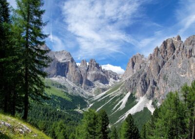 TRENTINO I ADAMELO BRENTA NP
